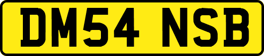 DM54NSB
