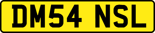 DM54NSL