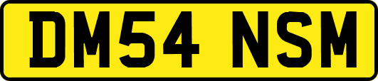 DM54NSM