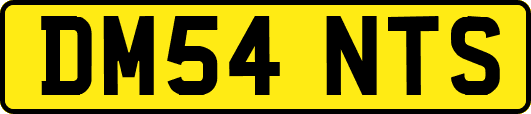 DM54NTS