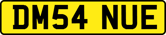 DM54NUE