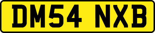 DM54NXB