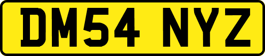 DM54NYZ