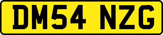 DM54NZG