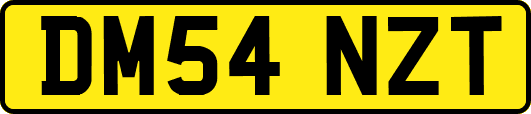 DM54NZT