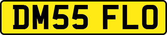 DM55FLO