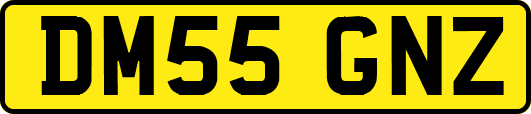 DM55GNZ