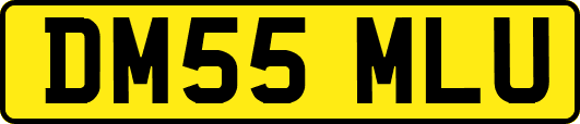 DM55MLU