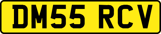 DM55RCV