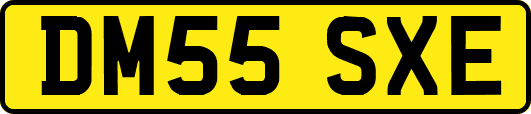 DM55SXE