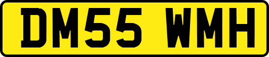 DM55WMH