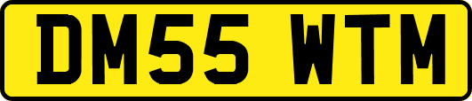 DM55WTM