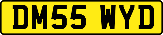 DM55WYD