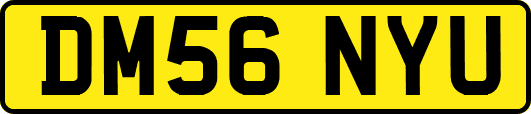 DM56NYU