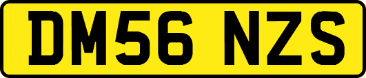 DM56NZS