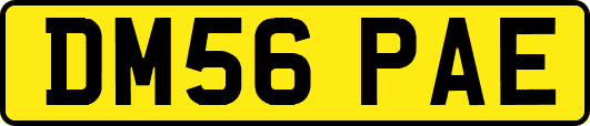 DM56PAE