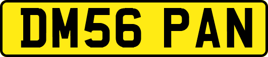 DM56PAN