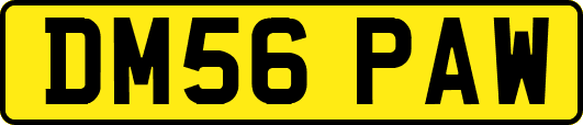 DM56PAW