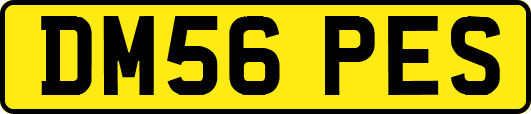 DM56PES
