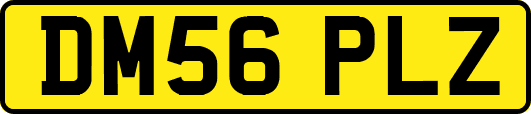 DM56PLZ