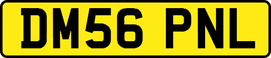 DM56PNL