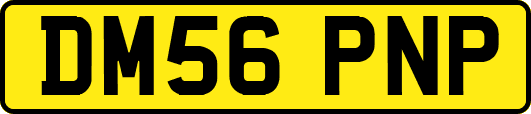 DM56PNP