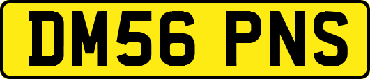 DM56PNS