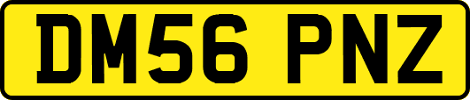 DM56PNZ
