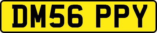 DM56PPY