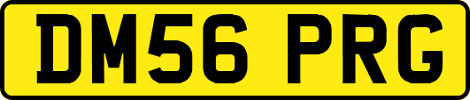 DM56PRG