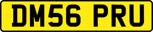 DM56PRU