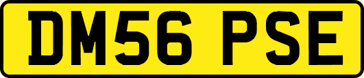 DM56PSE