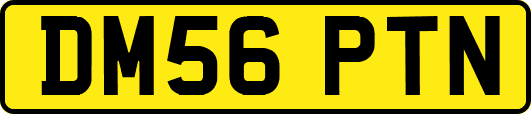 DM56PTN
