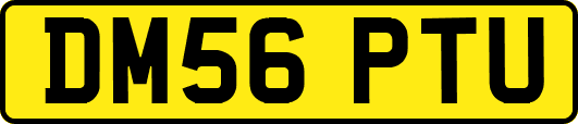 DM56PTU