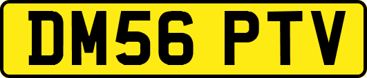 DM56PTV