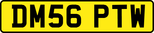DM56PTW