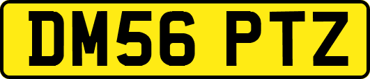 DM56PTZ