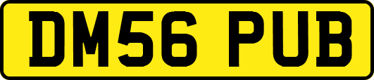 DM56PUB