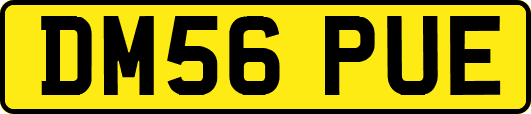 DM56PUE