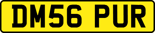 DM56PUR