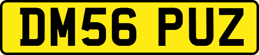 DM56PUZ