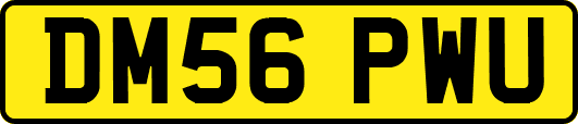 DM56PWU