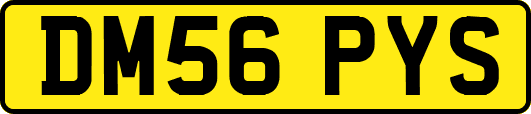 DM56PYS