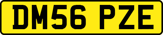DM56PZE