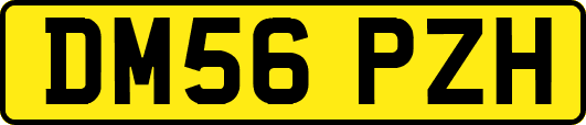 DM56PZH