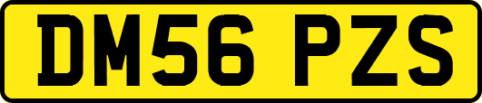 DM56PZS