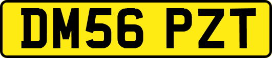 DM56PZT