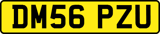 DM56PZU