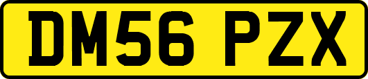 DM56PZX