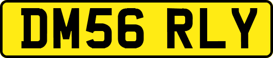 DM56RLY